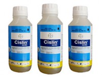 Thuốc diệt mối mọt Cislin