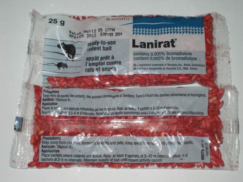 Cách sử dụng thuốc diệt chuột Lanirat